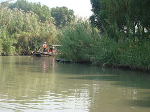 來常熟沙家浜風(fēng)景區(qū)游玩,住錦江之星常熟招商城店2人1晚今年國(guó)慶中秋連一塊,高速堵車, 驢媽媽點(diǎn)評(píng)