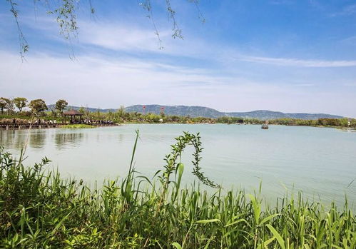 清明出游好去處 全國(guó)多景區(qū)免費(fèi)開放，沙家浜成無(wú)錫游客優(yōu)選