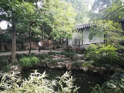 國慶黃金周蘇州旅游市場繁榮，沙家浜接待游客700萬人次創(chuàng)佳績