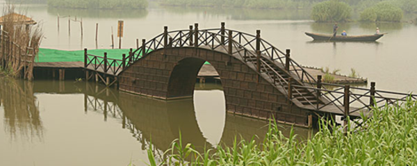 常熟沙家浜旅游全攻略 門票、開放時間與深度游指南