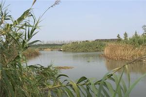 沙家浜風景區(qū)全攻略 門票、地址、亮點與游玩路線一網打盡
